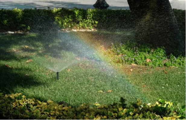 Park Irrigation - RainMAN Controllers