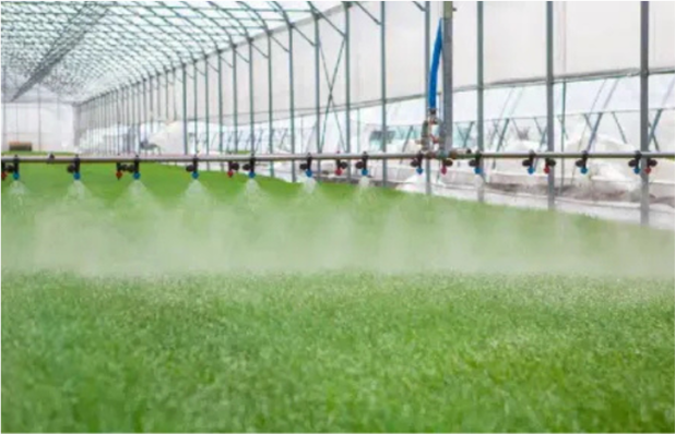 Greenhouse Irrigation - RainMAN Controllers